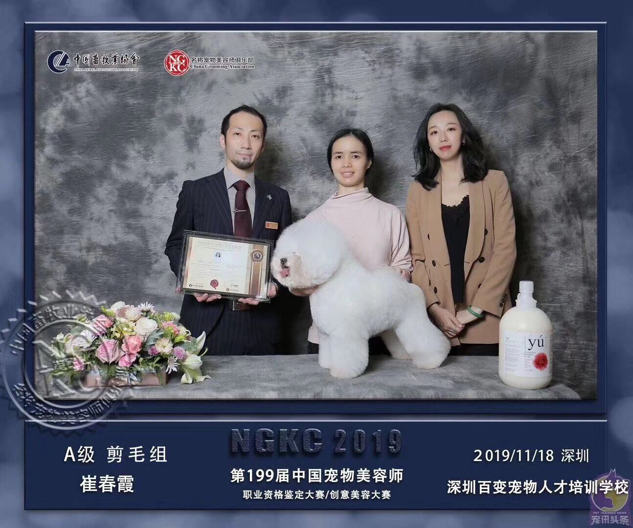 崔老师简介