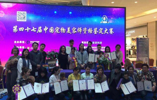 宠物美容师培训学校