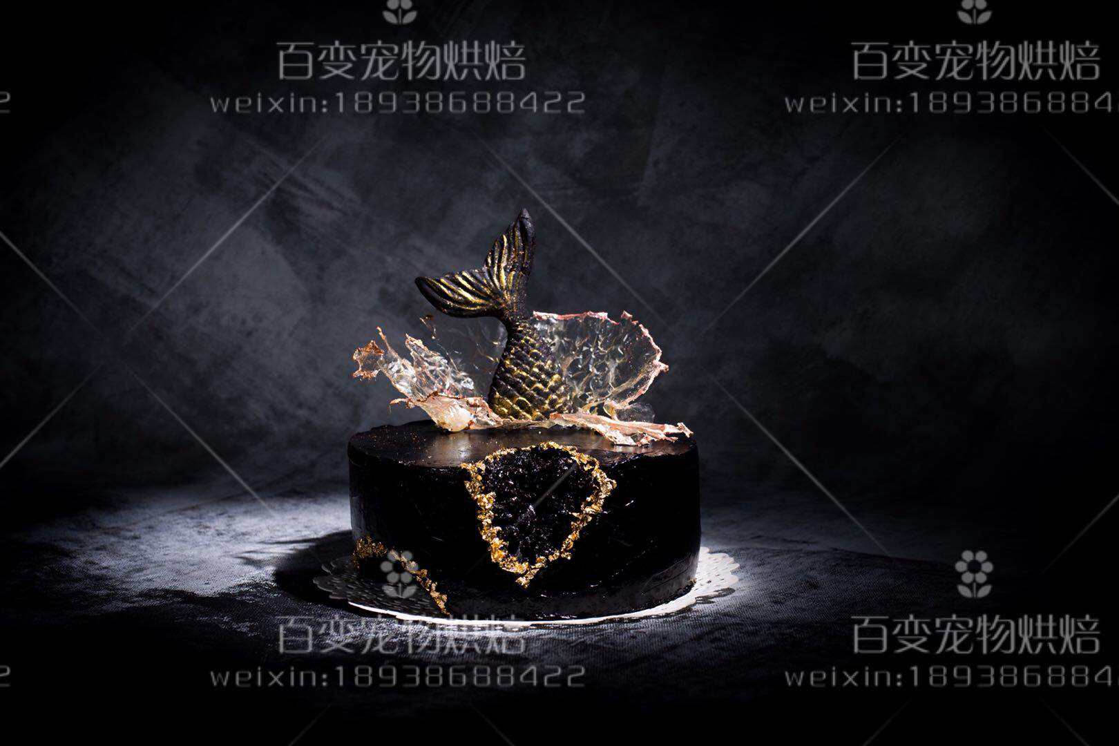 宠物ins款蛋糕1