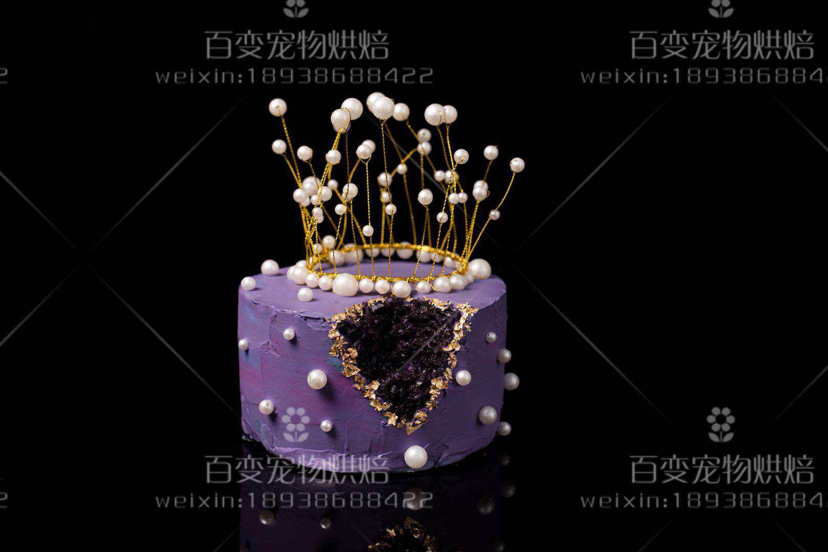 宠物ins款蛋糕