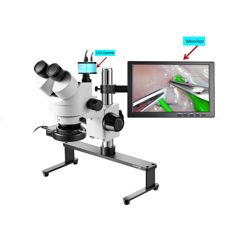 Stereo Microscope