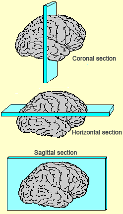 cb5a7c8d-1c3e-421c-bf53-74c0acc02809