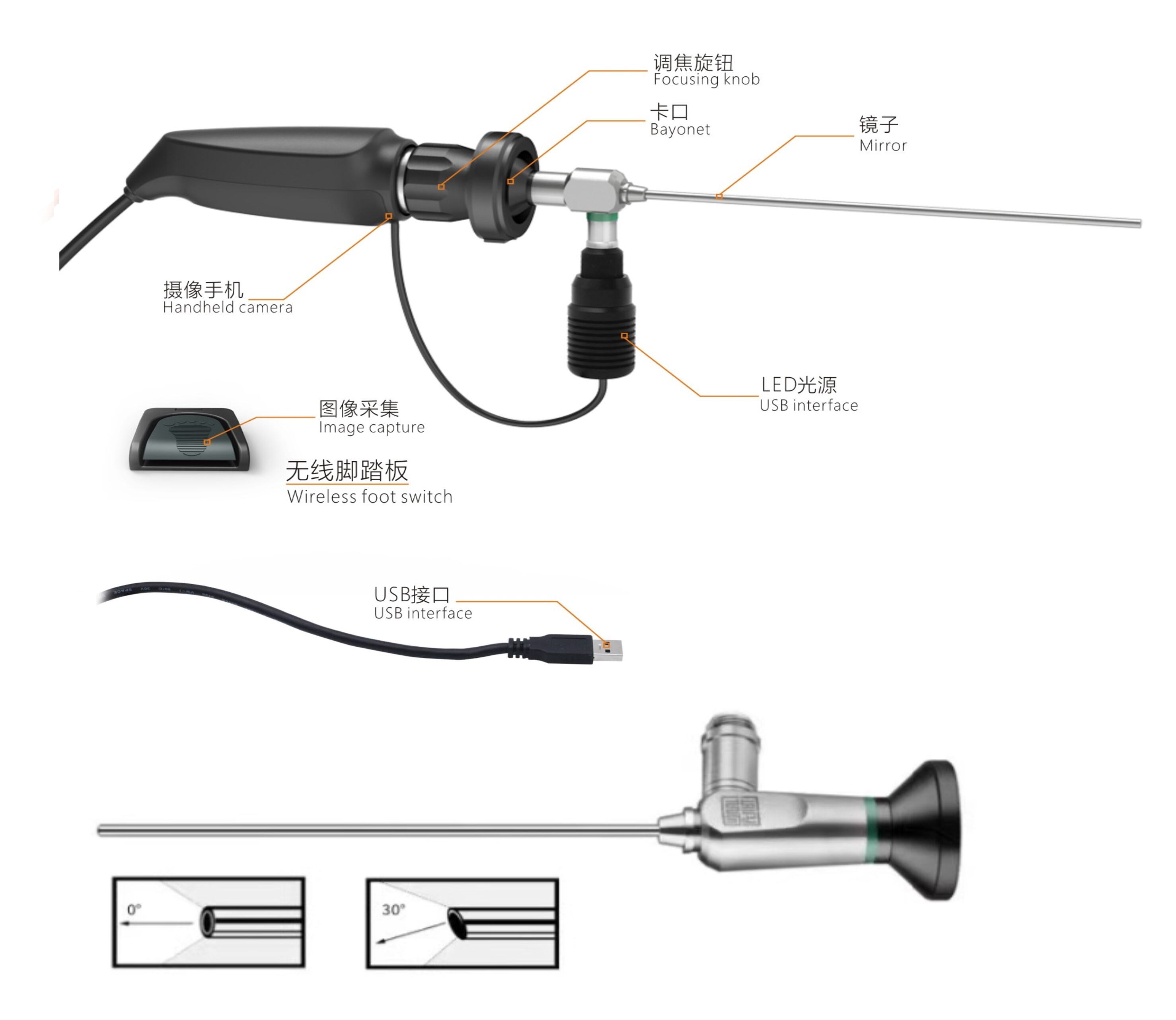 endoscope