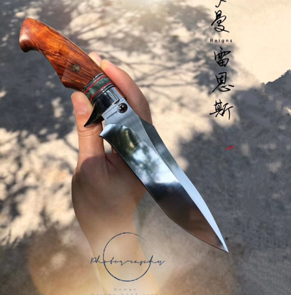 (罗曼、雷恩斯)