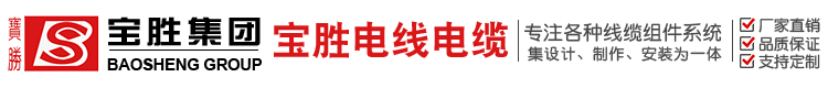 寶勝科技創新股份有限公司